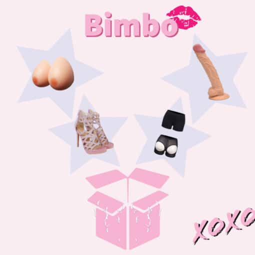 bimbo-set-v2.jpg