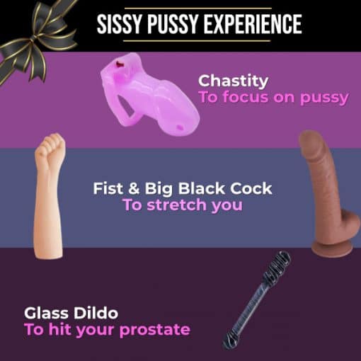 sissy-pussy-experience.jpg